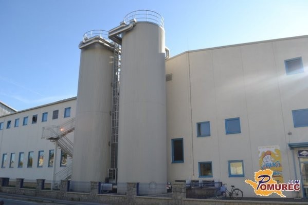 Pomurske mlekarne tokrat z manjšo izgubo kot predlani